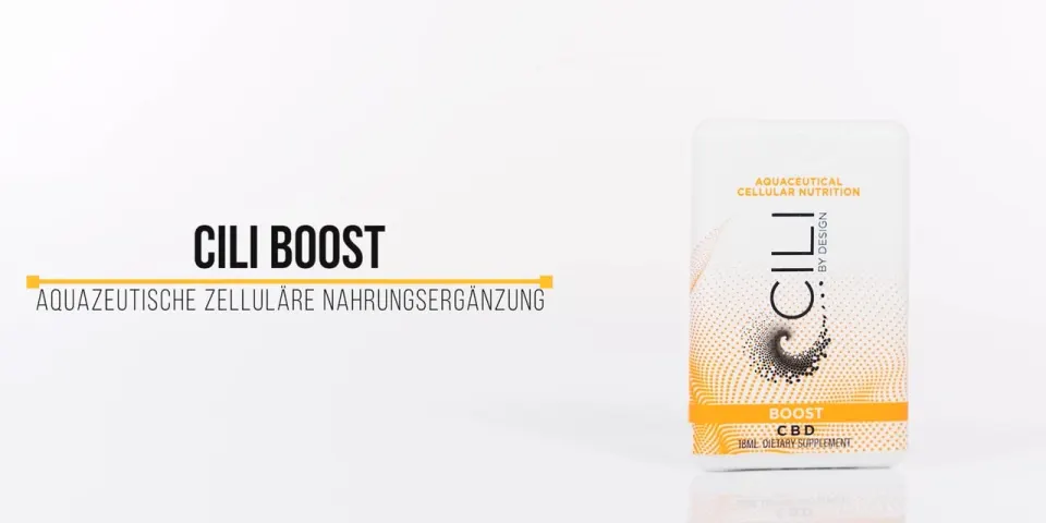 CILI Boost (Deutsch) — Video (Vimeo)